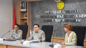 Indonesia Menuju Tuan Rumah Kejuaraan Kuda Internasional, Kementan Pacu Standar Kesehatan Hewan Dunia Terpenuhi